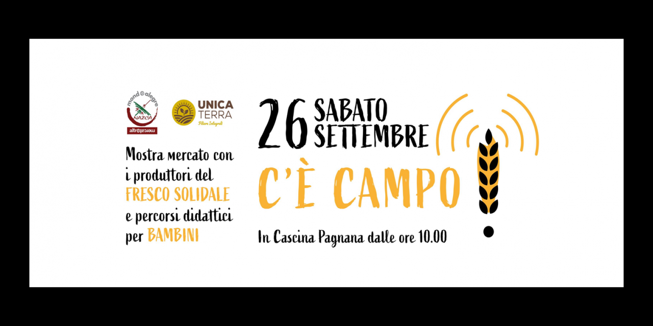 http://gorgonziner.com/wp-content/uploads/2020/09/cecampo-1280x640.png