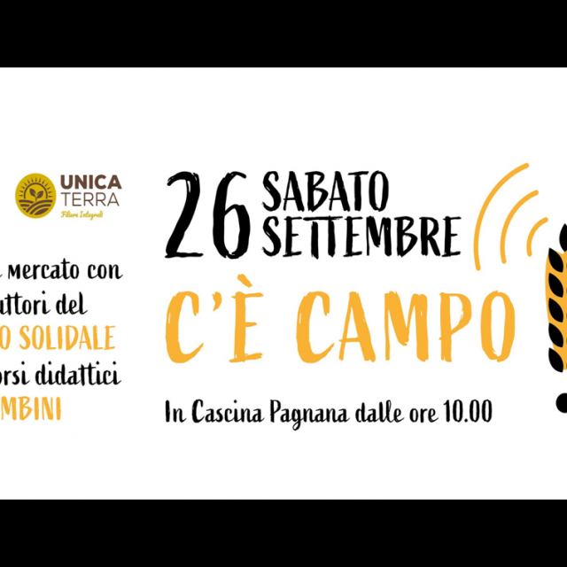 http://gorgonziner.com/wp-content/uploads/2020/09/cecampo-640x640.png